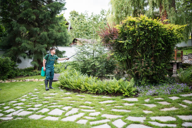 Best Ant Control Services  in Chigan Center, MI