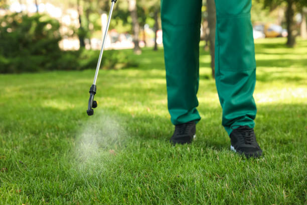 Best Affordable Pest Control Services  in Chigan Center, MI