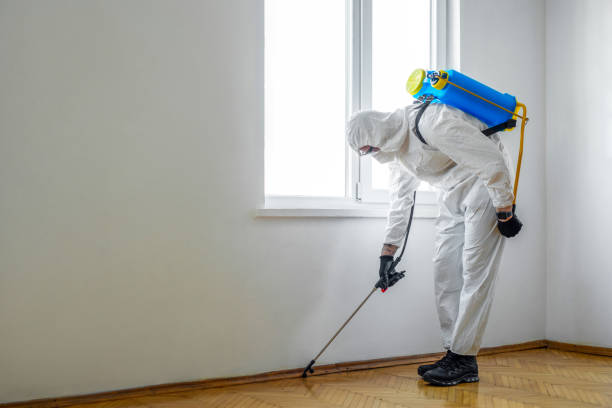 Best Pest Removal Services  in Chigan Center, MI