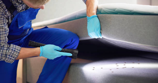 Best Bed Bug Extermination  in Chigan Center, MI