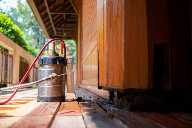 Best Residential Pest Control  in Chigan Center, MI