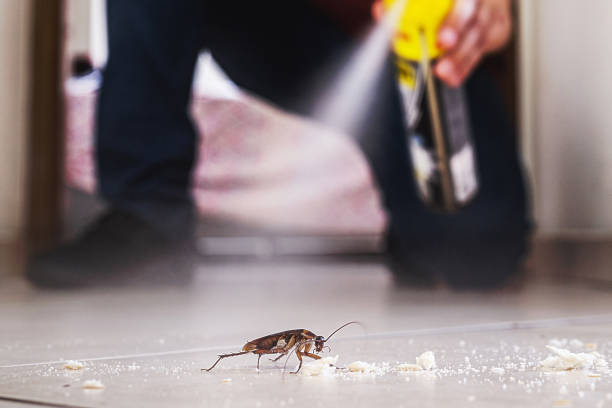 Best Commercial Pest Control Services  in Chigan Center, MI