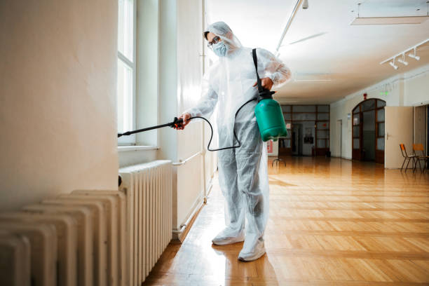 Best Mosquito Control Services  in Chigan Center, MI