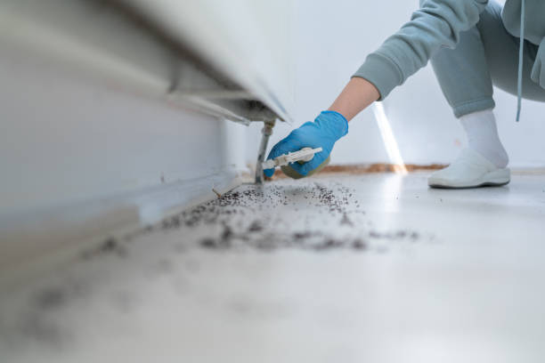 Best Bed Bug Extermination  in Chigan Center, MI