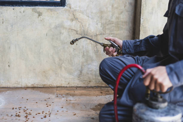 Best Flea Control Services  in Chigan Center, MI
