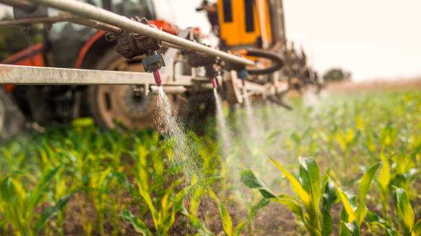 Best Pest Control for Homes  in Chigan Center, MI